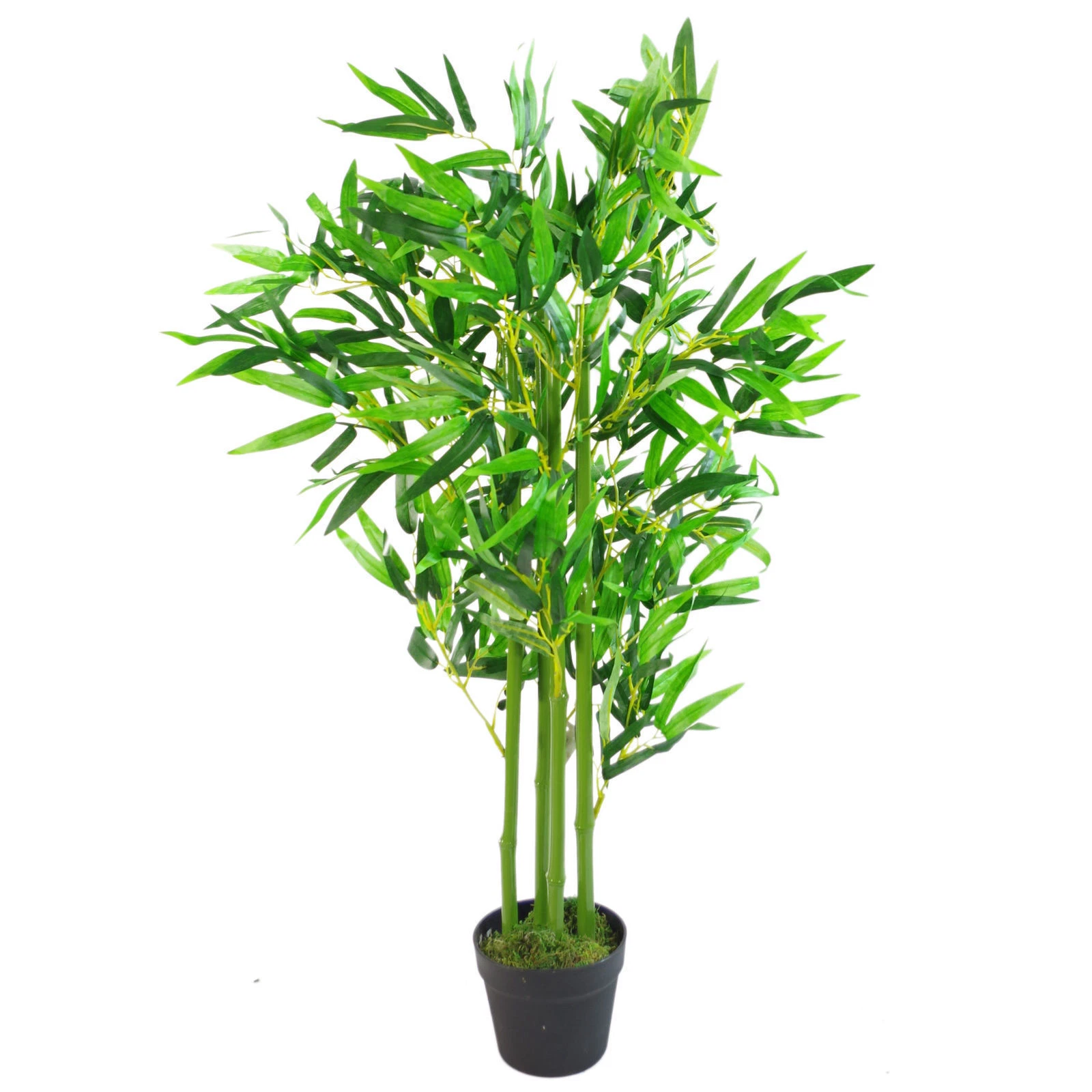 90cm Fat Leaf Bamboo - 7234