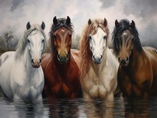 SKRYUIE Paint by Numbers Kit for Adults Beginner Horse, Colorful