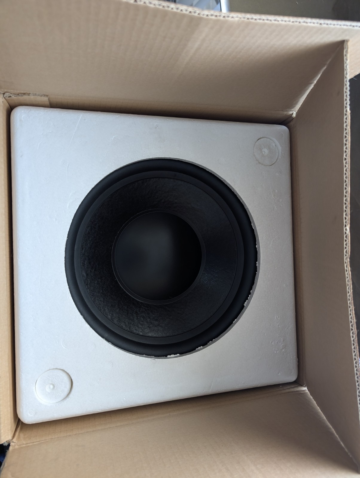 NCA Laboratories 12" Prototype Subwoofer Driver/Speaker 4 Ohm Single Coil