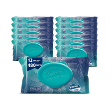 Flushable Wipes, 480 Total Wipes 12 Packs of 40 