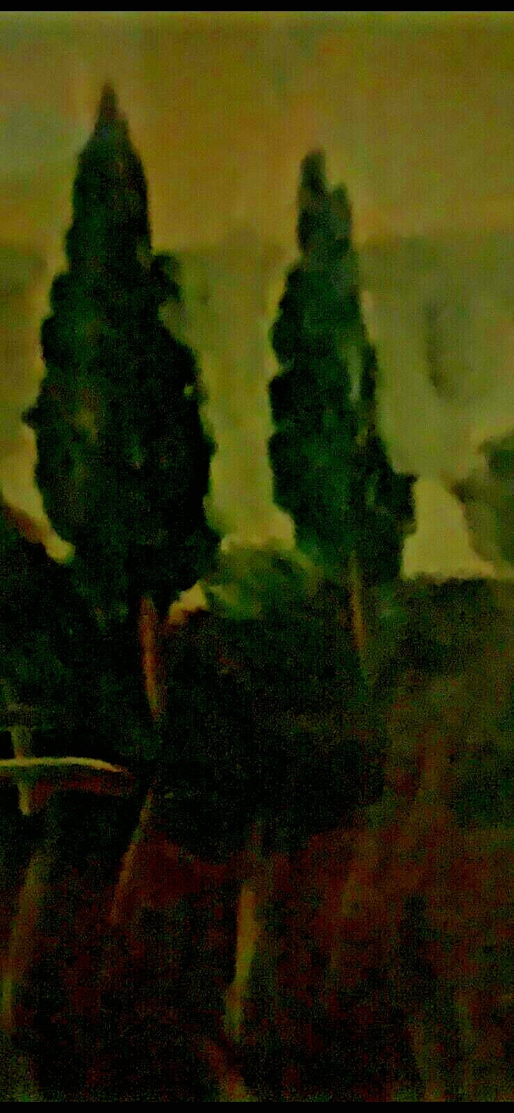 Foto 7 di 8