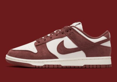 Nike Dunk Low Next Nature Phantom Sail Red Sepia HJ7673-001  display picture 2