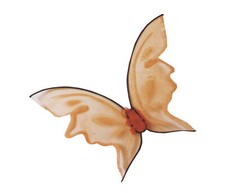 Wings Butterfly Orng Hot Color - Hollywood Toys And Costumes.Com