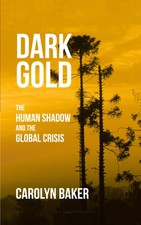 Dark Go*d The Human Shadow and the Global Crisis Carolyn Baker Taschenbuch 2017