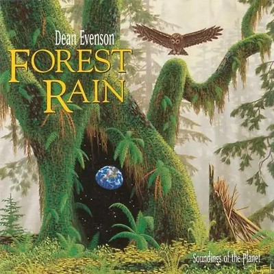Dean Evenson - Forest Rain
