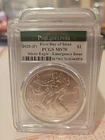 2020-(P) American Silver Eagle Emergency Issue PCGS MS69