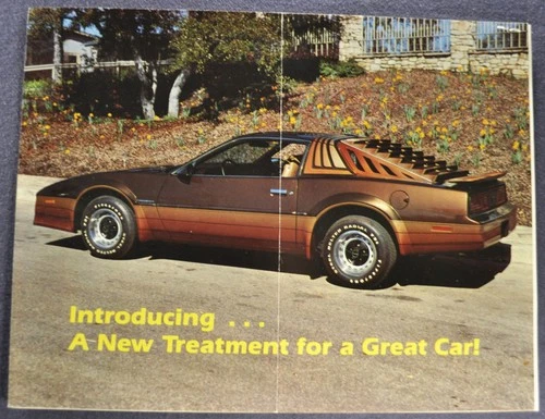 1984 Pontiac Firebird Louvers/Body Extensions Brochure Sheets Nice Original