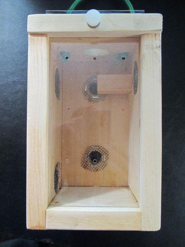 Beezza Hut Wooden Beekeeping Observation Box-Educational Bee House - Box ONLY - 第 2/7 張圖片