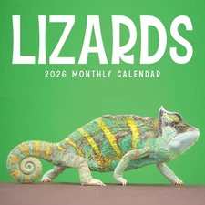 LIZARDS - 2026 WALL CALENDAR - BRAND NEW - 71232