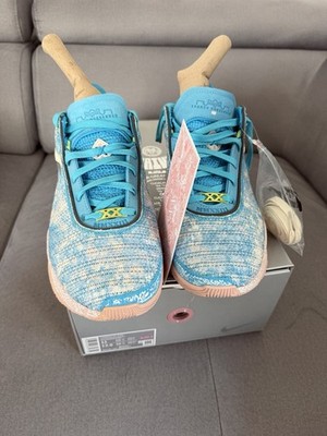 Nike LeBron XX Basketballschuhe, Größe 45