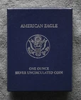 2006-W-BURNISHED American SILVER Eagle Dollar Coin with Box & COA-No Reserve