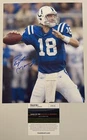 Peyton Manning Signed Autographed Indianapolis Colts 8x10 Photo/COA/Hologram