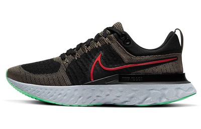 Nike React Infinity Run Flyknit 2 Ridgerock 2021 - CT2357-200