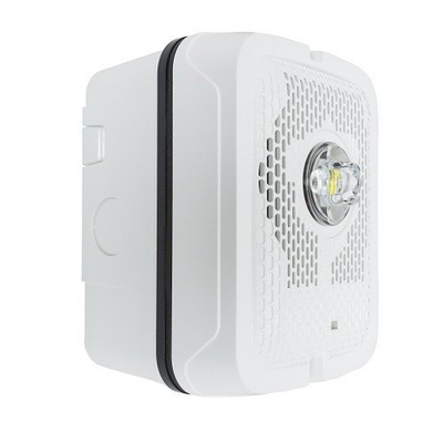 System Sensor SPSWKLED-P Outdoor LED Speaker Strobe Wall, Plain, White