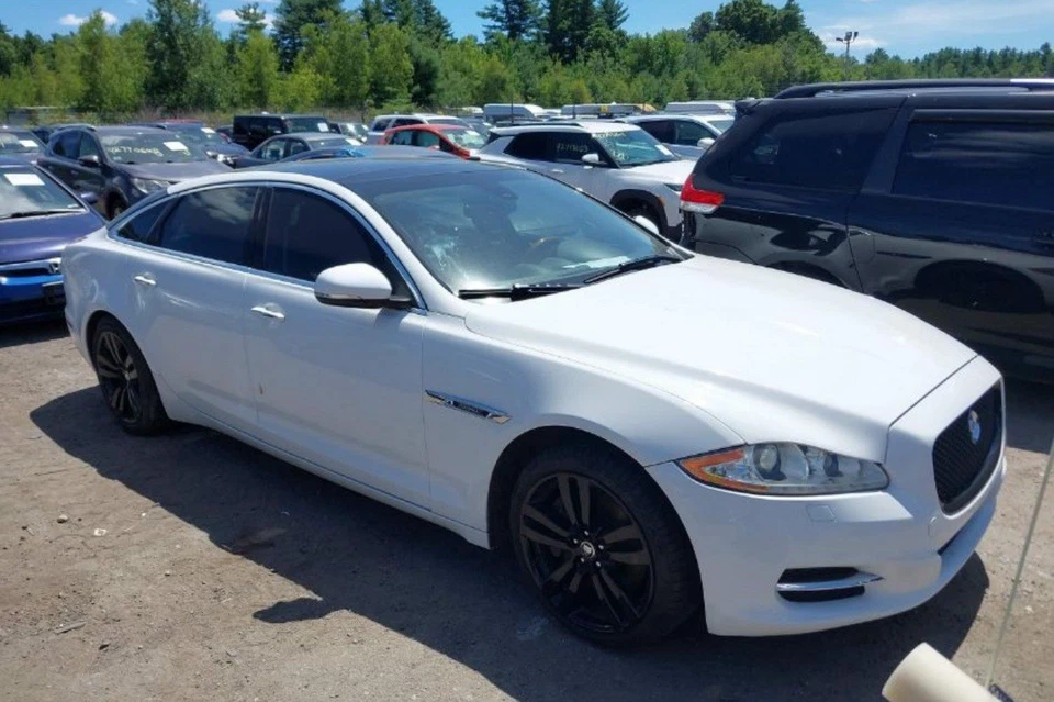 2010-2019 Jaguar X351 XJ XKR XJLR Hood Cover Panel Assembly White OEM - Image 3 of 3
