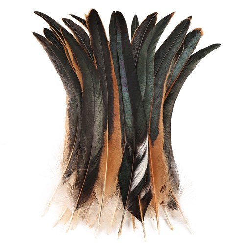 Colorful Rooster Tail Feathers-50PC 10-12inch Natural Long Rooster Tail Feath...