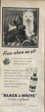 1950 Black & White Scotch Dogs Scotties Character Fleischmann VTG 50s PRINT AD