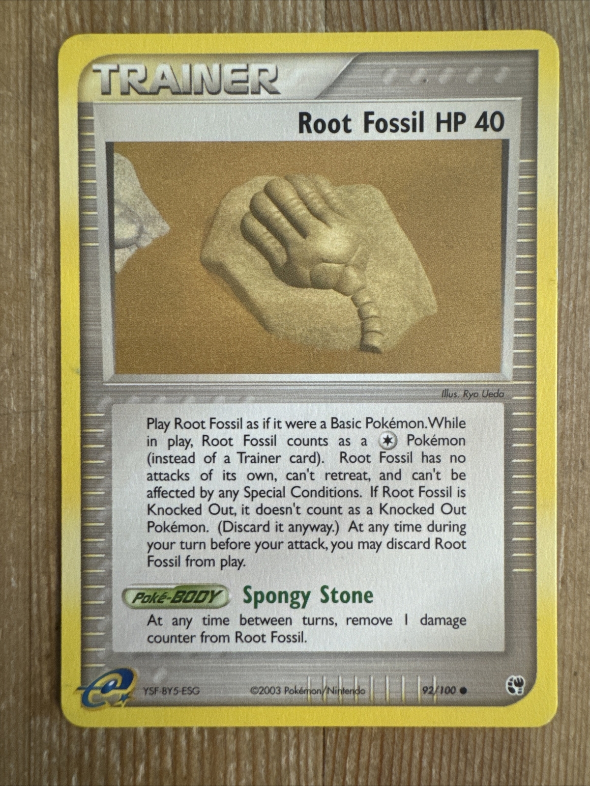 Root Fossil