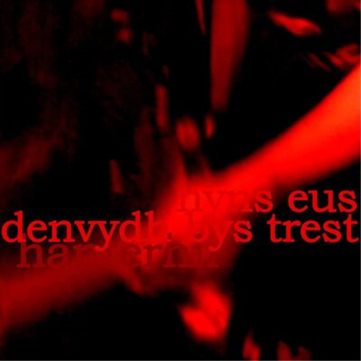 Hanterhir There Is No One to Trust (Nyns Eus Denvydth Bys Trest) (CD) Album