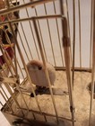Foto 10 di 20