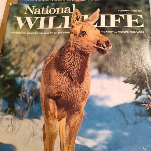 National Wildlife magazine lot of 8, 1970-1973 vintage wilderness magazines - Picture 7 of 9