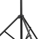 Foto 2 di 3
