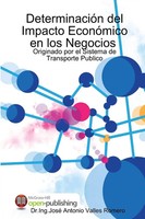 Ing. José Antonio Valles Romero | CuantificacióN Y DeterminacióN Del Impacto...