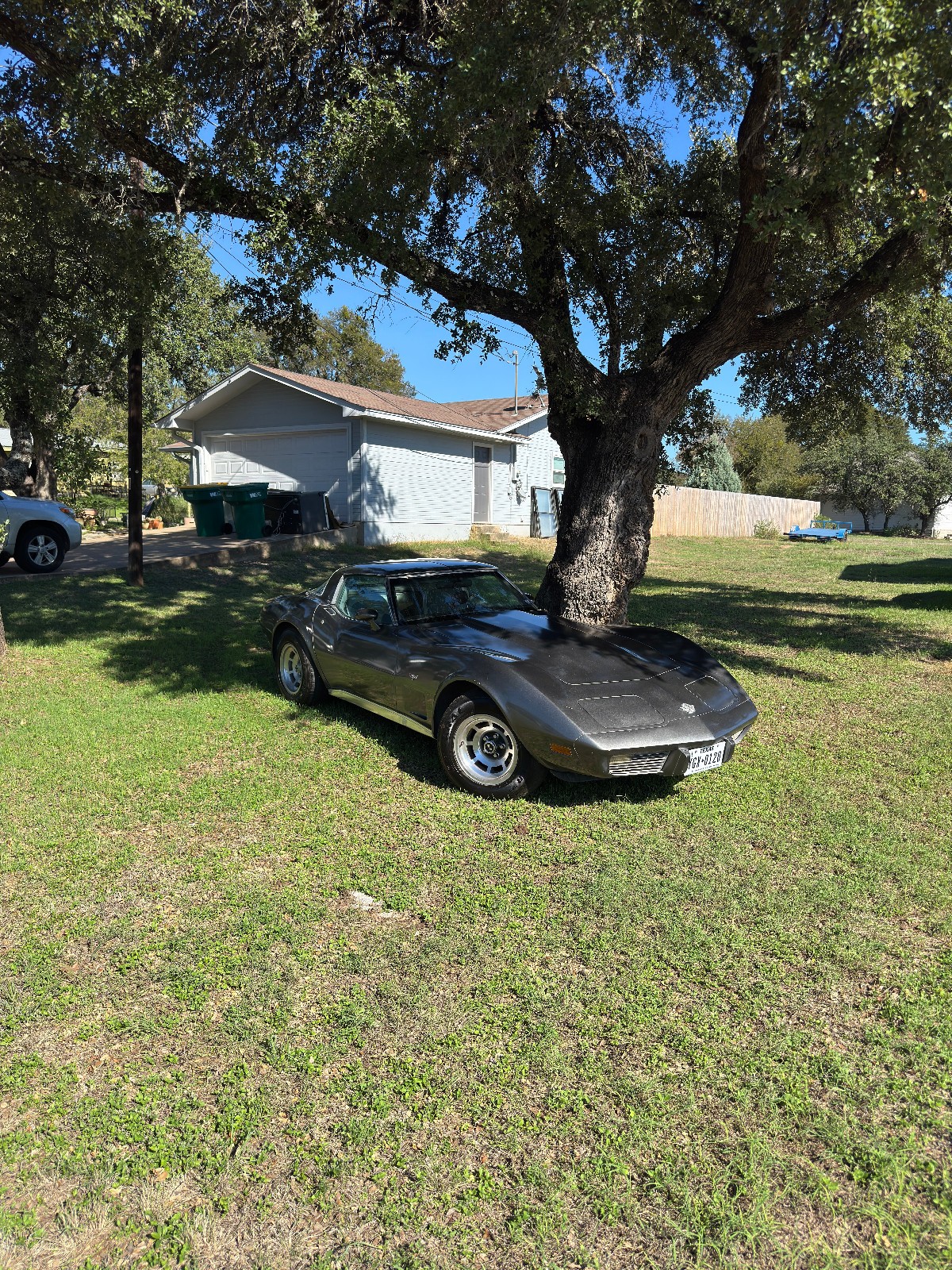 1978 Silver Chevrolet Corvette   | C3 Corvette Photo 3