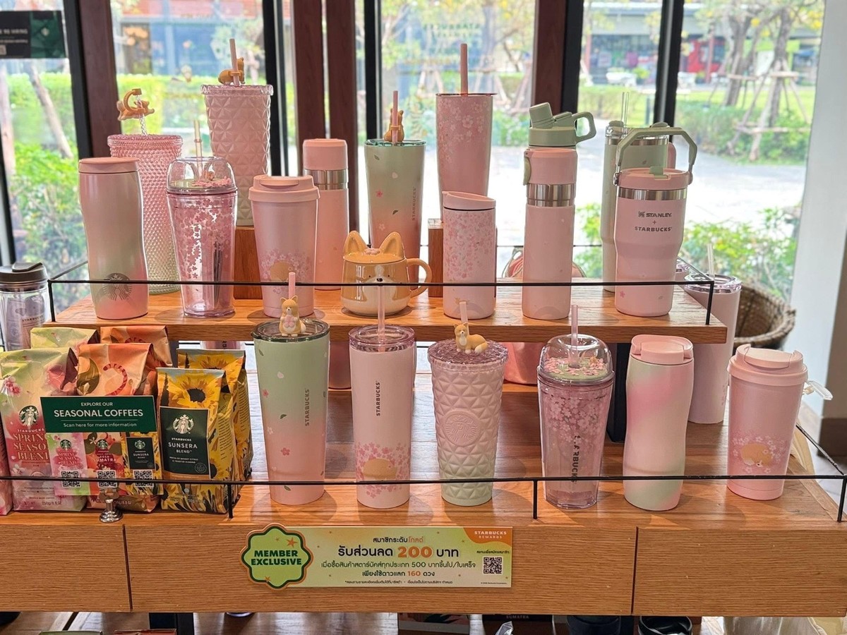 ビリヤードラシャークロス 限定色CPBA  SAKURA PINK 2026 Starbucks Corgi Cherry Blossom Pink Sakura Collection Brand