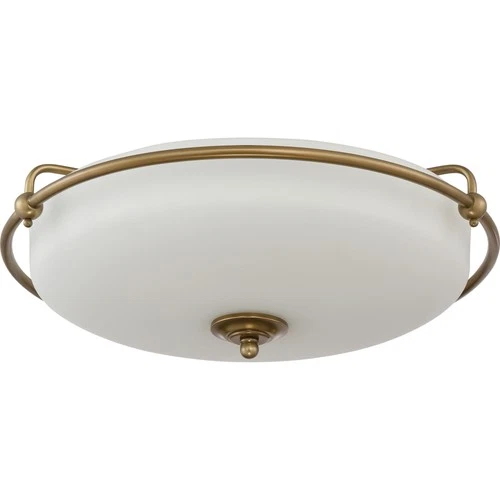 Quoizel GF1621 Nickel Griffin 4-Light 21"W Flush Mount Ceiling Fixture - Picture 4 of 12