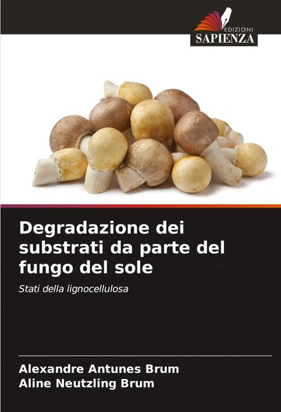Degradazione Dei Substrati Da Parte Del Fungo Del Sole Brum (U. A.) Taschenbuch-image