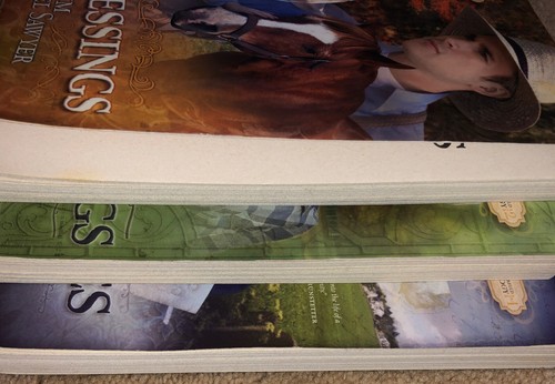 Sommerfeld Trilogy 1-3 Paperbacks Kim Vogel Sawyer Blessings Beginnings Bygones - Picture 6 of 7
