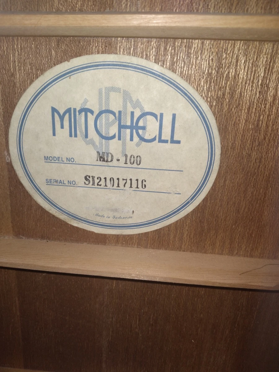 Mitchell top guitar md100