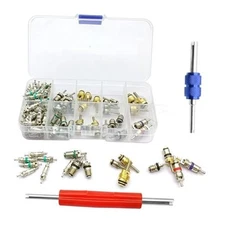 102Pcs Air Conditioning Valve Core Kit with Dual Head Remover Tool, Compatible 