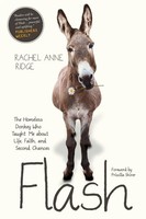 Rachel Anne Ridge | Flash | Taschenbuch | Englisch (2016) | Ean 9781414397849