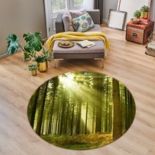 3D Woods Sunshine NAO3641 Game Rug Mat Elegant Photo Carpet Mat Fay