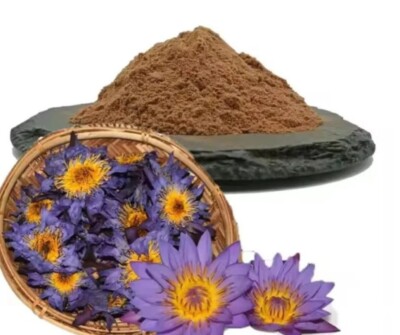 100% Natural Organic Blue Lotus Powder Nymphaea Caerulr – Herbal ...