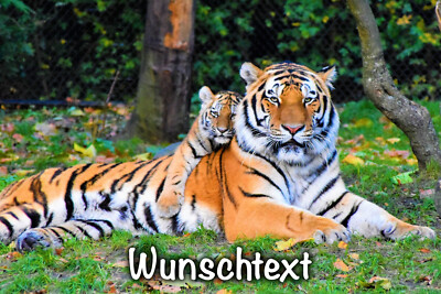 Tiger Tortenbild Party Deko personalisiert Geschenk Geburtstag Name Baby essbar