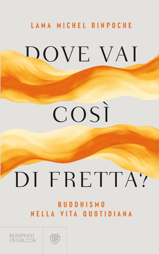 Dove vai così di fretta? Buddhismo nella vita quotidiana - Michel (Rinpoch... - 第 1/1 張圖片