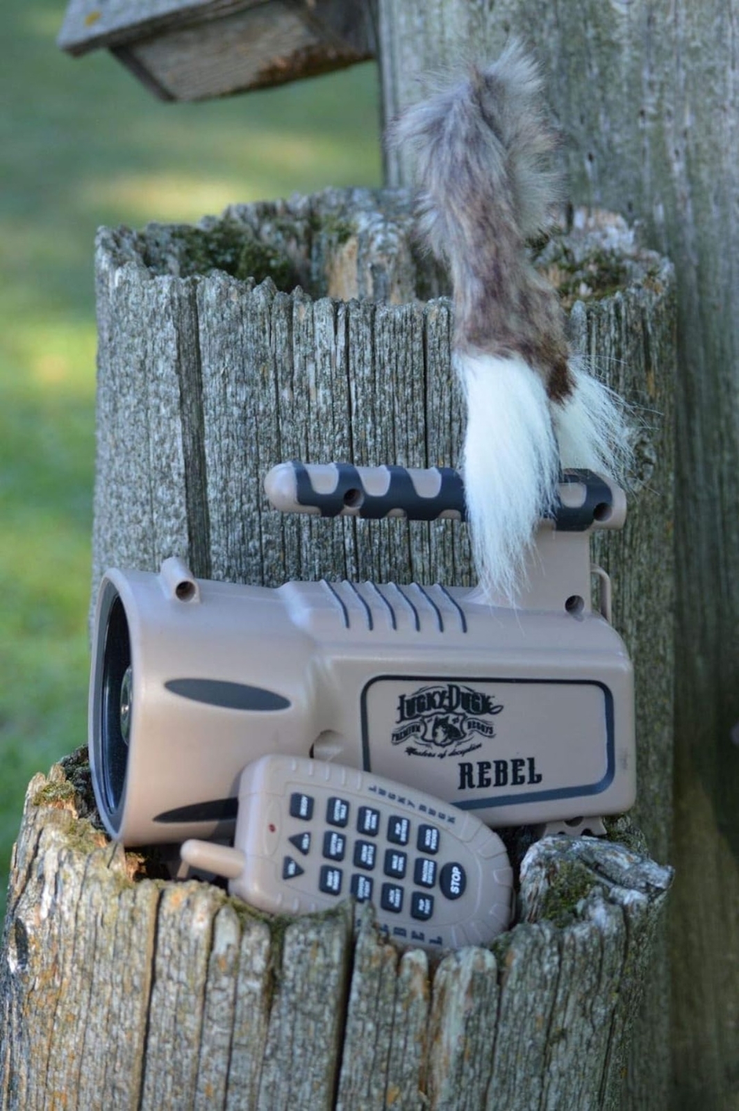 Lucky Duck entrylevel ecaller,Remote control eBay