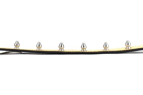 NEW PETCO SPIKED DOG COLLAR Gold Small 12-14 in 30-35 cm Buckle studs S Good2Go - Picture 3 of 10