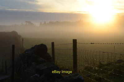 Photo 12x8 Dawn at Uppat (2) Sun shining on a fence with early morning mis c2014