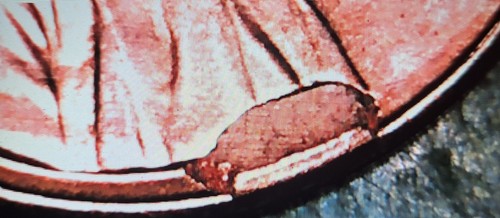 1987-P Lincoln Cent with Die Cud Error, Brilliant Uncirculated, BU - Picture 7 of 8