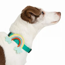 Lang Companies,  Rainbow Vibes Dog Collar Charm