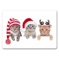 Katzen FußMatte Ohne Rand Mit Weihnachts-Motiv FußMatte Fussmatte FußAbtreter