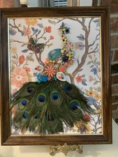 One Of A Kind Framed Jewelry Embellished Framed Baby Girl  Peacock Wall Art