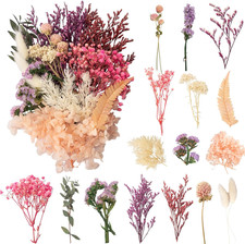 LAUMOE Trockenblumen, Getrocknete Blumen, Trockenblumen Zum Basteln Klein Set F