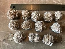 Selenite Desert Rose Crystals -  Very Nice Specimens! - (1) Pound ~ 12 Crystals