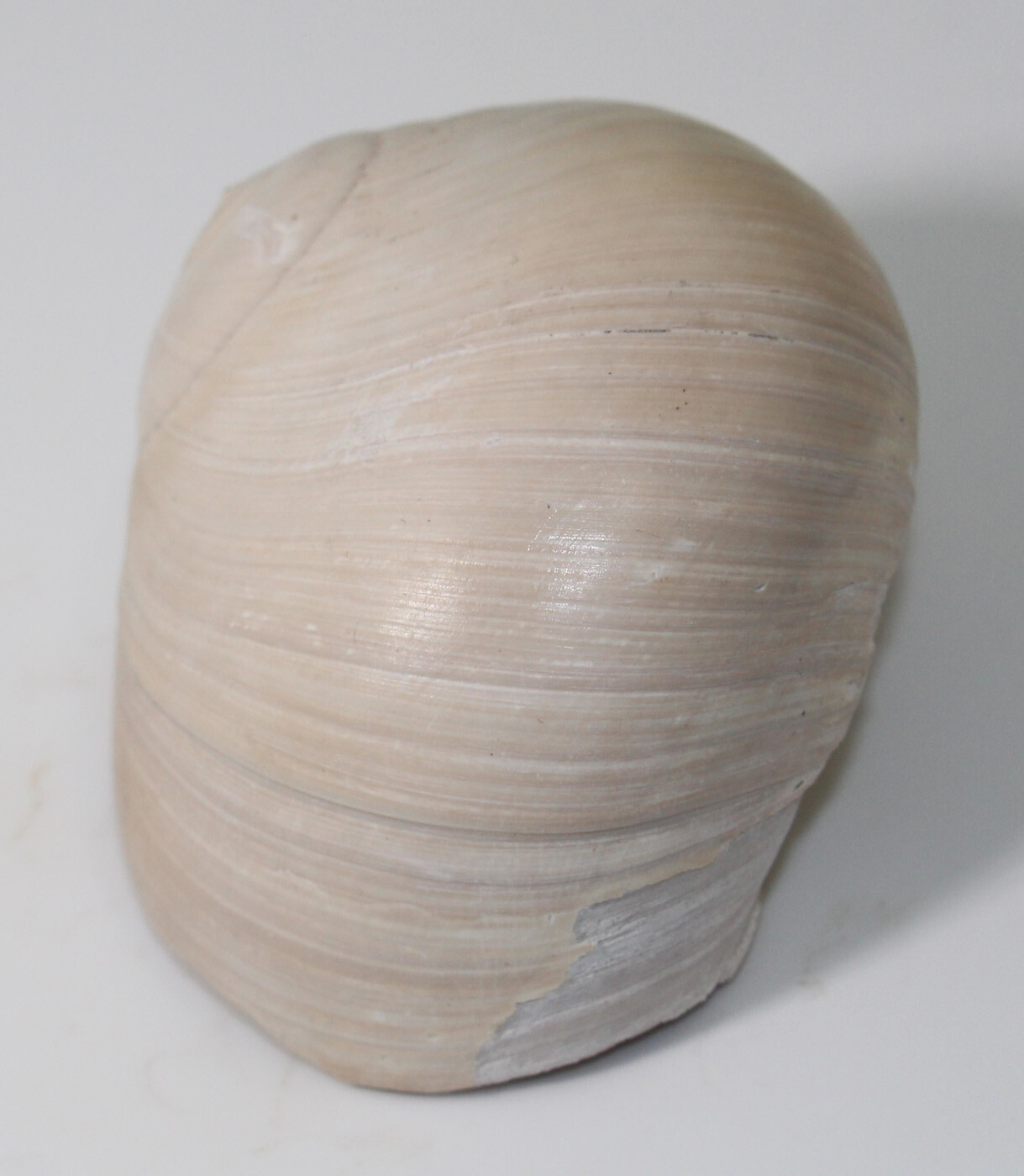 Bild 4 von 7