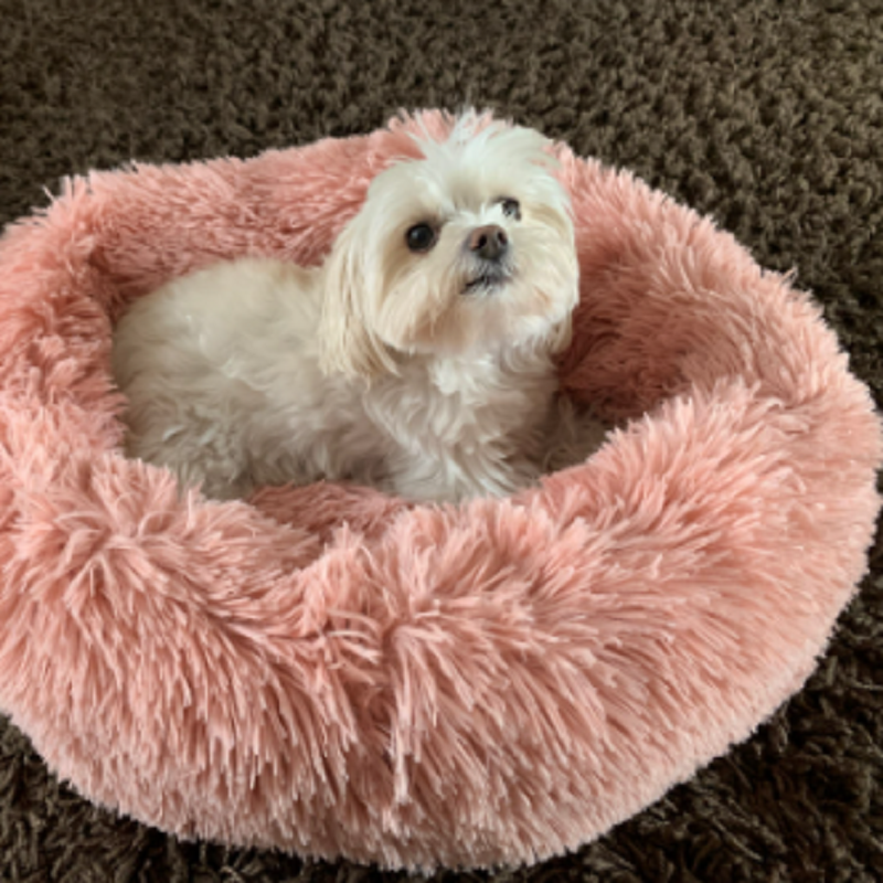 Fur plush bed for pet dog cat S4XL warm soft large dog mat round pets
